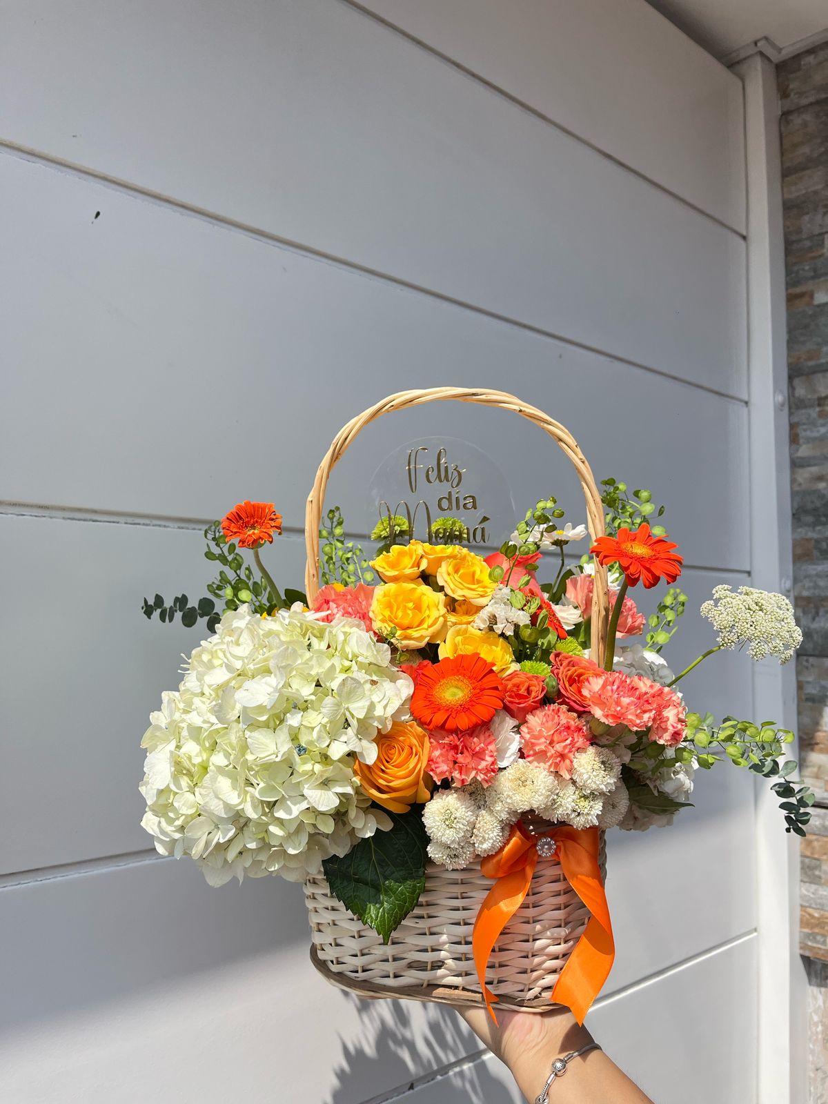 CANASTA ALEGRÍA ✨