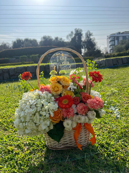 CANASTA ALEGRÍA ✨