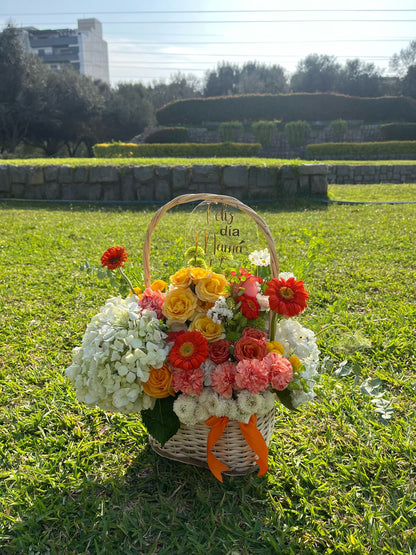 CANASTA ALEGRÍA ✨