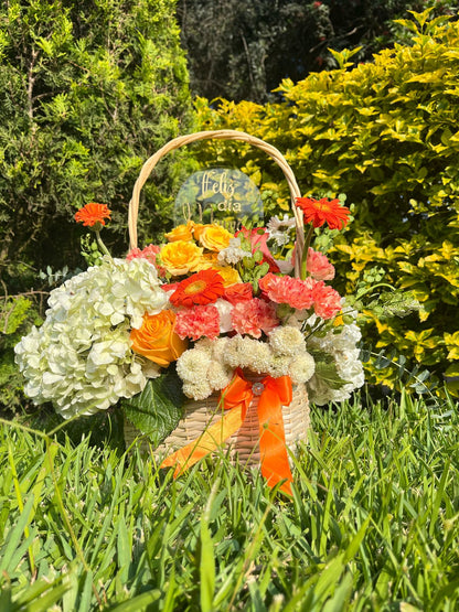 CANASTA ALEGRÍA ✨