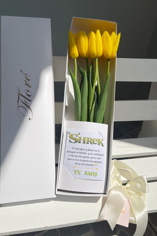 Caja Shrek de Tulipanes